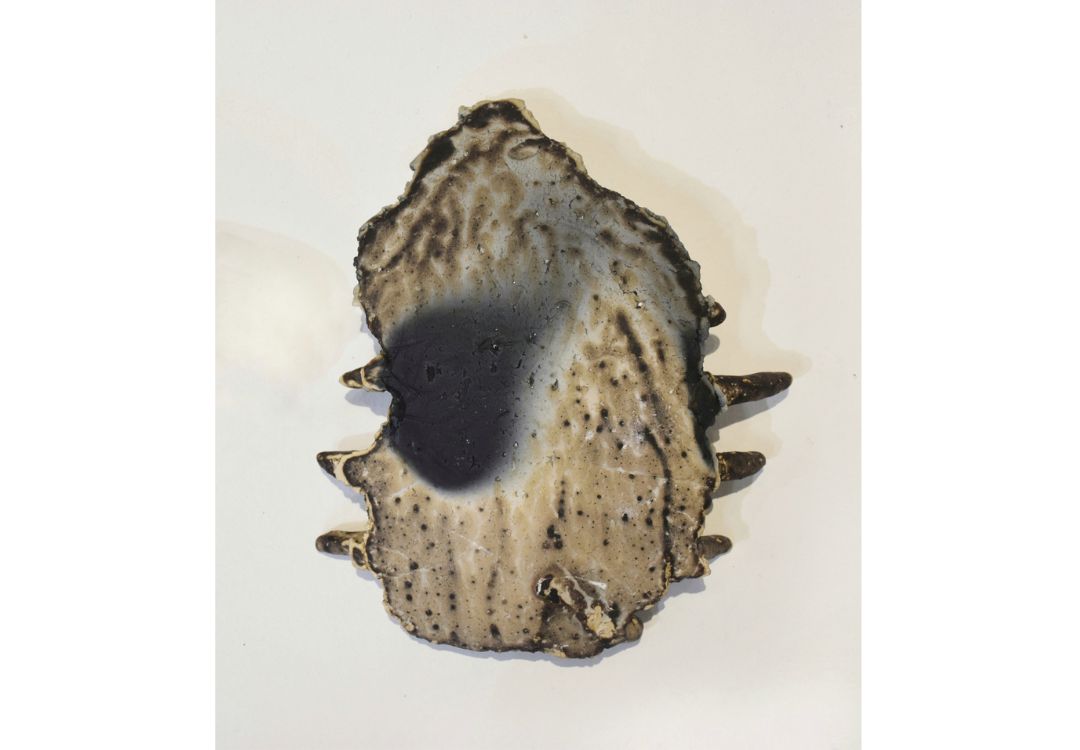 <An Archive of flesh (series) , 2025